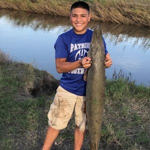 Meet your Posher, Nathan